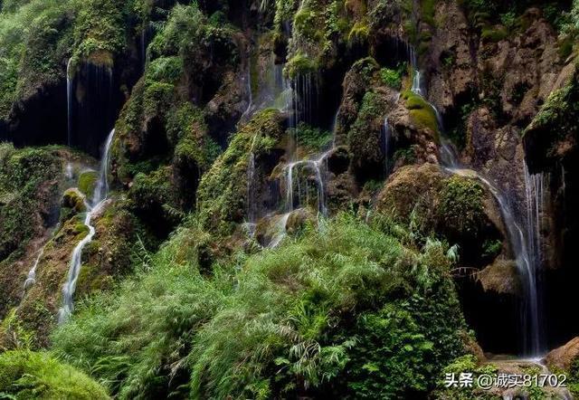 虫虫助手下载